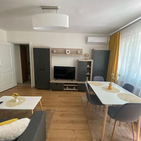 Apartamentul Gaviota Тимишоара Екстериор снимка