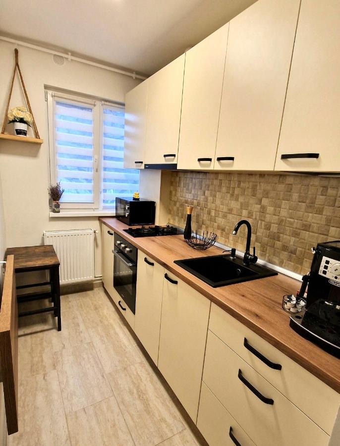Apartamentul Gaviota Тимишоара Екстериор снимка