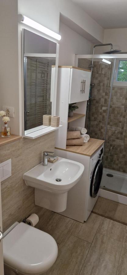 Apartamentul Gaviota Тимишоара Екстериор снимка