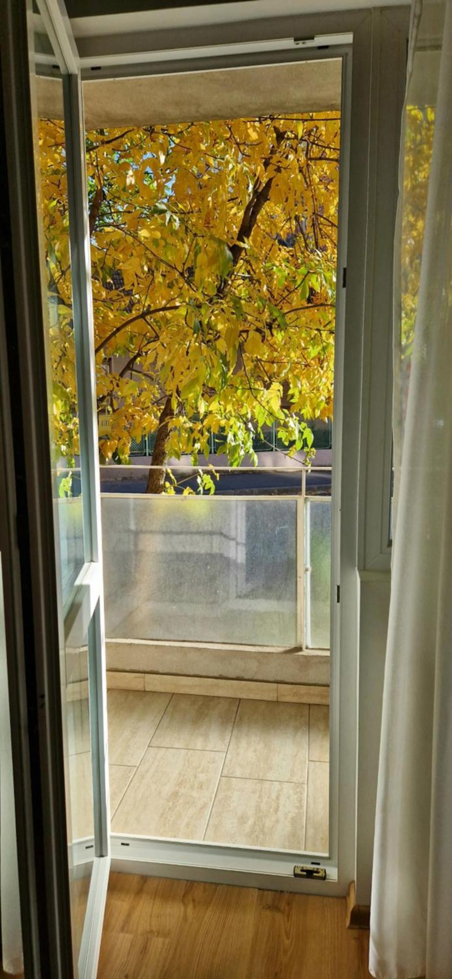 Apartamentul Gaviota Тимишоара Екстериор снимка